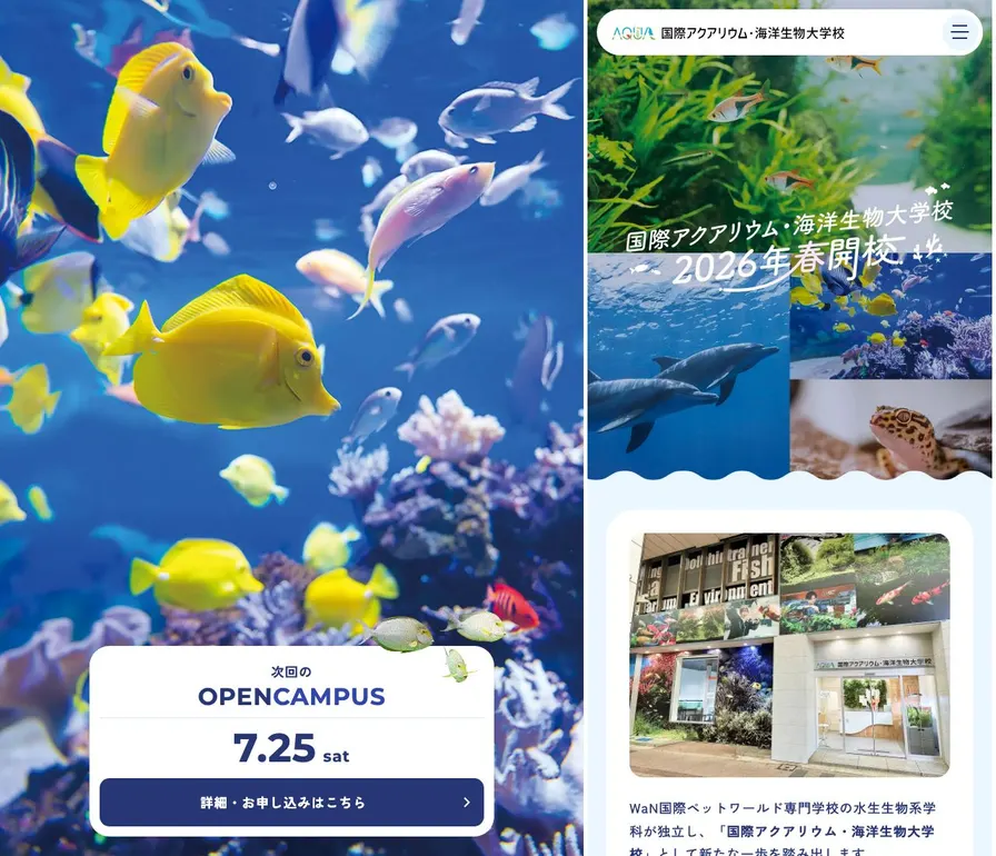 国際アクアリウム・海洋生物大学校公式サイトの画面
