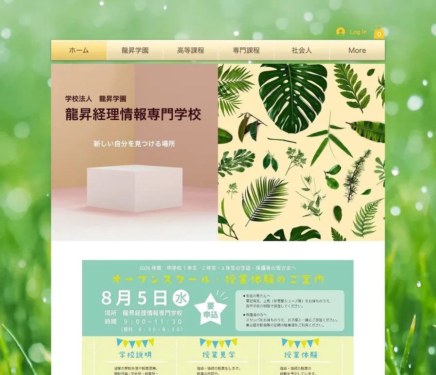 龍昇経理情報専門学校公式サイトの画面